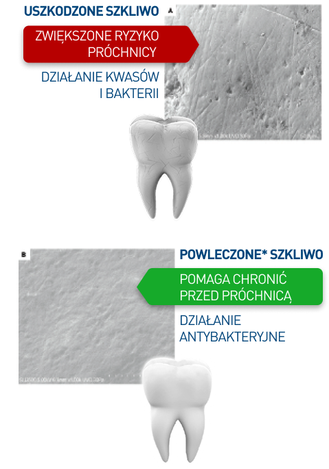 Wykres – Biorepair vs pasta z fluorem