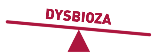 Eubiosis – balance of oral microbiota